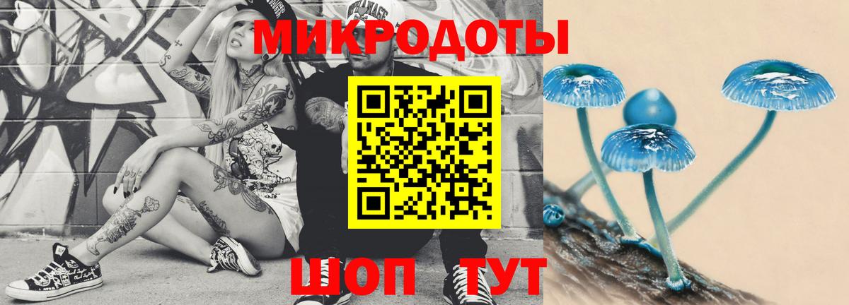 Лыткарино  Псилоцибиновые грибы MAGIC MUSHROOMS  Вход с VPN 