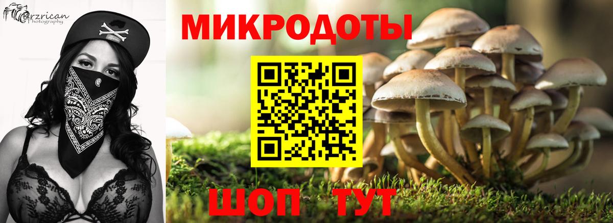Псилоцибиновые грибы Cubensis Лыткарино